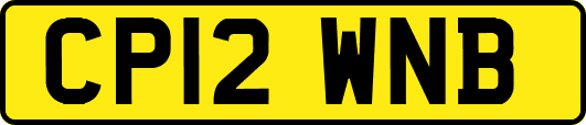 CP12WNB