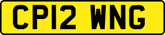 CP12WNG