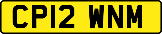 CP12WNM