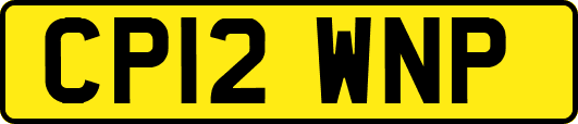 CP12WNP