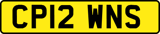 CP12WNS