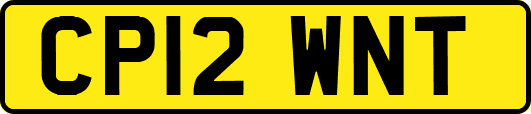 CP12WNT