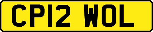 CP12WOL