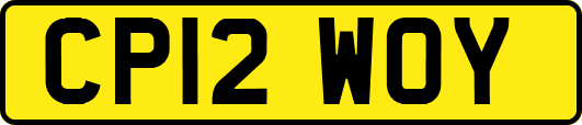CP12WOY