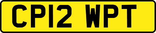CP12WPT