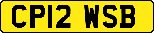 CP12WSB