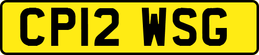 CP12WSG
