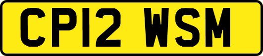 CP12WSM