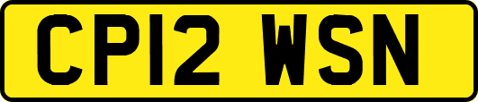 CP12WSN