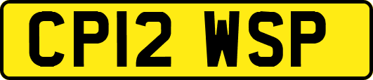 CP12WSP