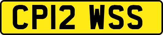 CP12WSS