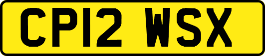 CP12WSX