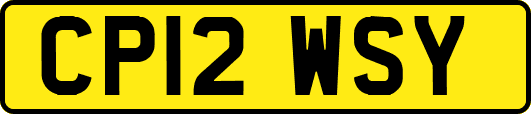 CP12WSY