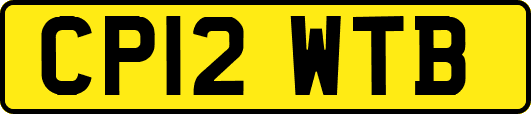 CP12WTB