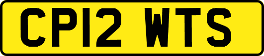 CP12WTS