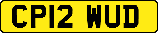 CP12WUD