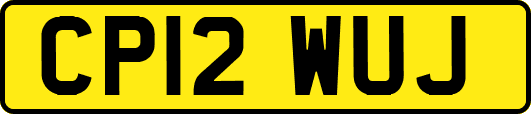 CP12WUJ