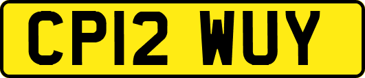 CP12WUY