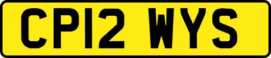 CP12WYS