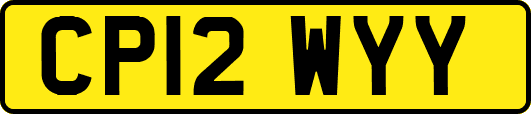 CP12WYY