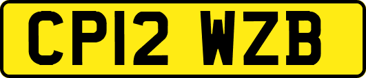 CP12WZB