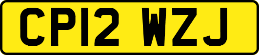 CP12WZJ