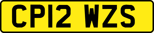 CP12WZS