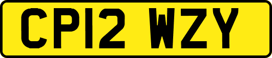 CP12WZY