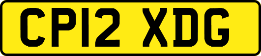 CP12XDG