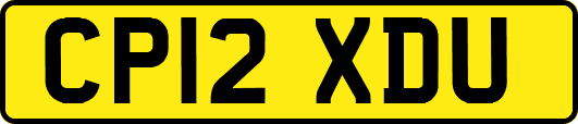 CP12XDU