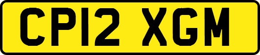 CP12XGM