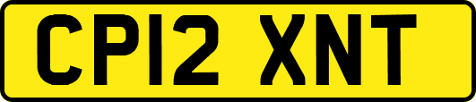 CP12XNT