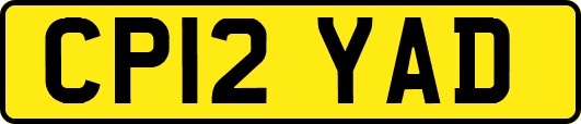 CP12YAD