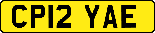 CP12YAE