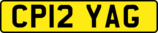 CP12YAG