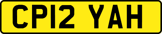 CP12YAH