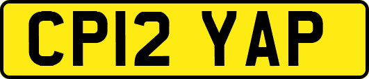CP12YAP