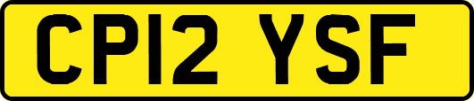 CP12YSF