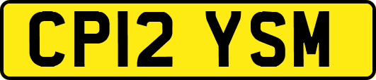 CP12YSM