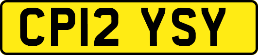 CP12YSY