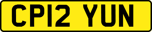 CP12YUN