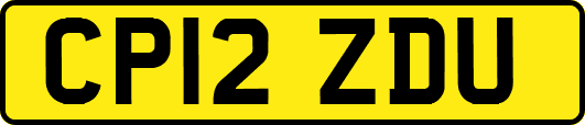 CP12ZDU