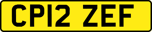 CP12ZEF