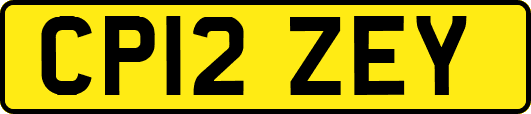CP12ZEY
