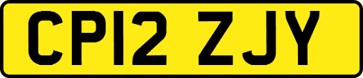 CP12ZJY