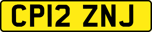 CP12ZNJ