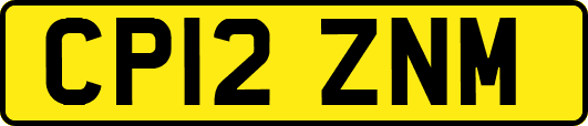 CP12ZNM