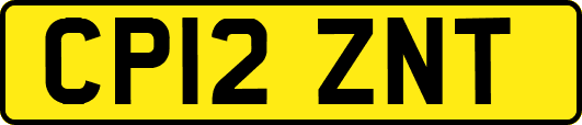 CP12ZNT