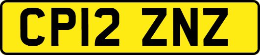 CP12ZNZ