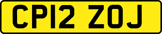 CP12ZOJ